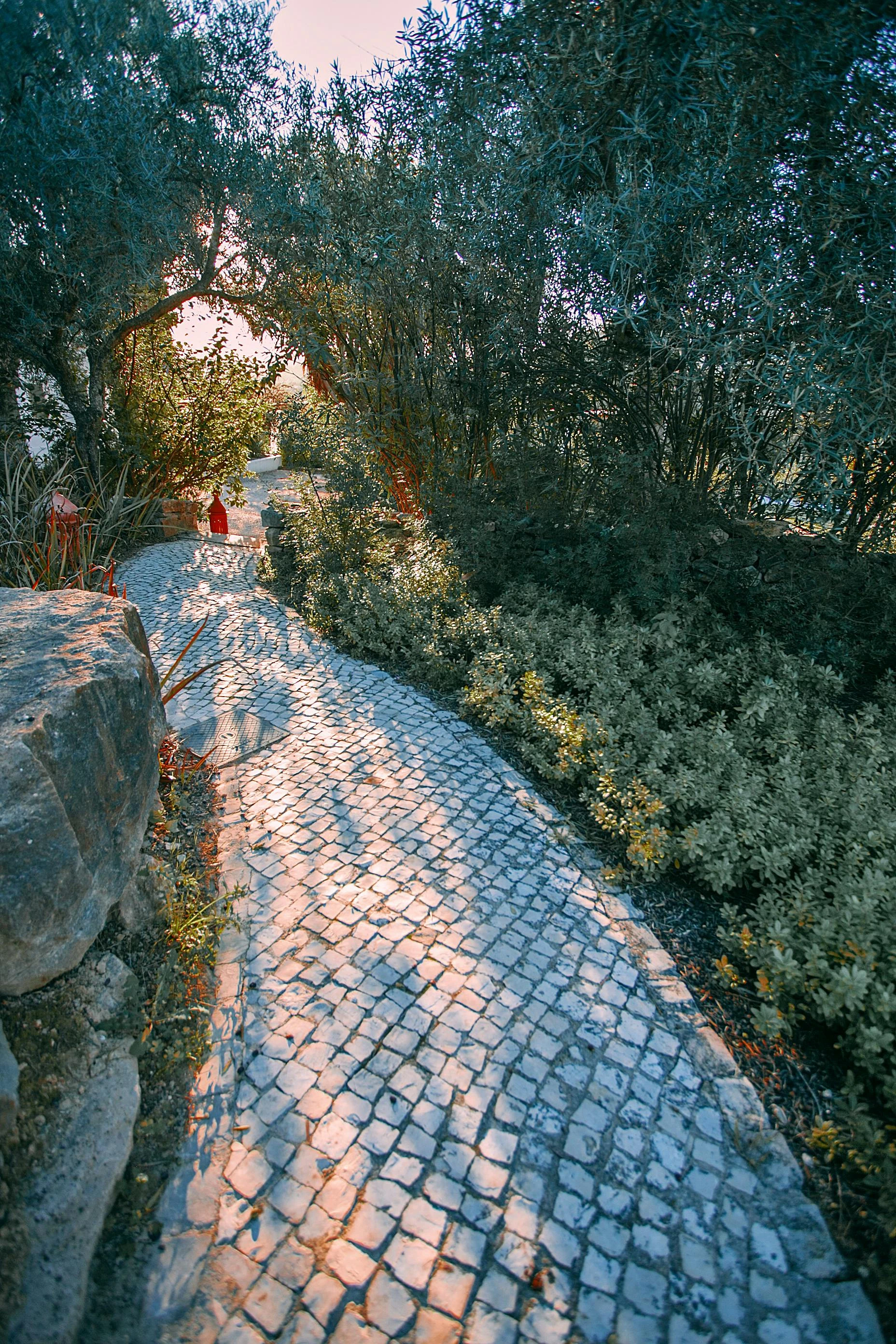 Curved stone pathway winding through a vibrant garden